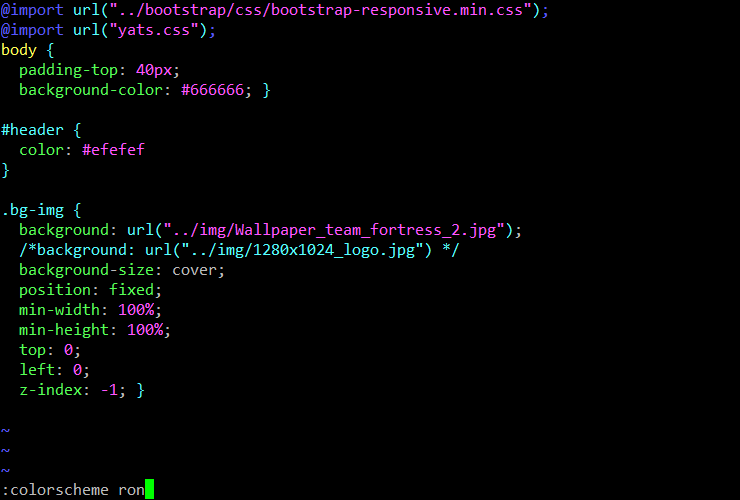 ron-css-vim.png